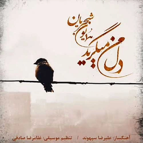 Cover artwork for Dele Man Migeryad by Homayoun Shajarian